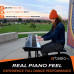Artesia PE-88 Arranger Keyboard Piano Artesia PE-88 Arranger Keyboard Piano